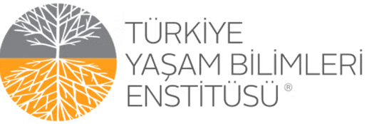 TYBE Logo